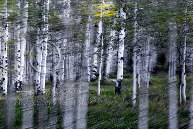 Colorado Fall 39